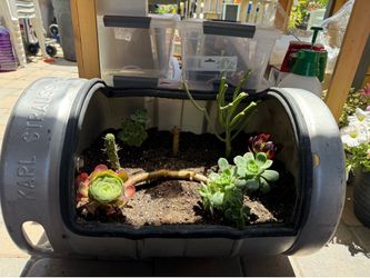 Custom Karl Strauss Beer Keg Succulent Planter (Premium/Safe Edging) 🌿