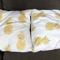 2 decorative pillows