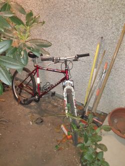 Thunder Mountain Bike Full Force