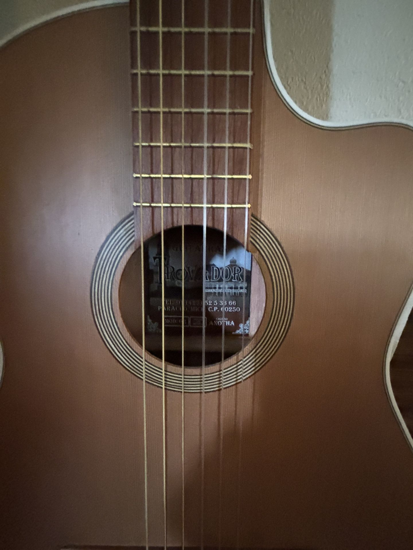 Beginner Acoustic Guitar