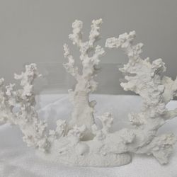 White Coral Decor Coral Reef Decor Faux Artificial Coral 4x6 Photo Frame