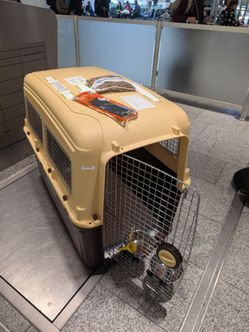 XXL Travel Dog Crate