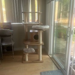 Tall Cat House
