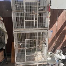 Bird Cage/ Juala Para Pajaro 