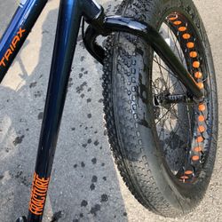 BIG FAT tire bike
