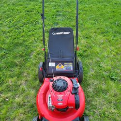 Push Lawnmower 21" With Bag