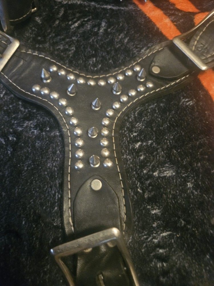 Dog Harness.spiked.genuine Black Leather Like New..
