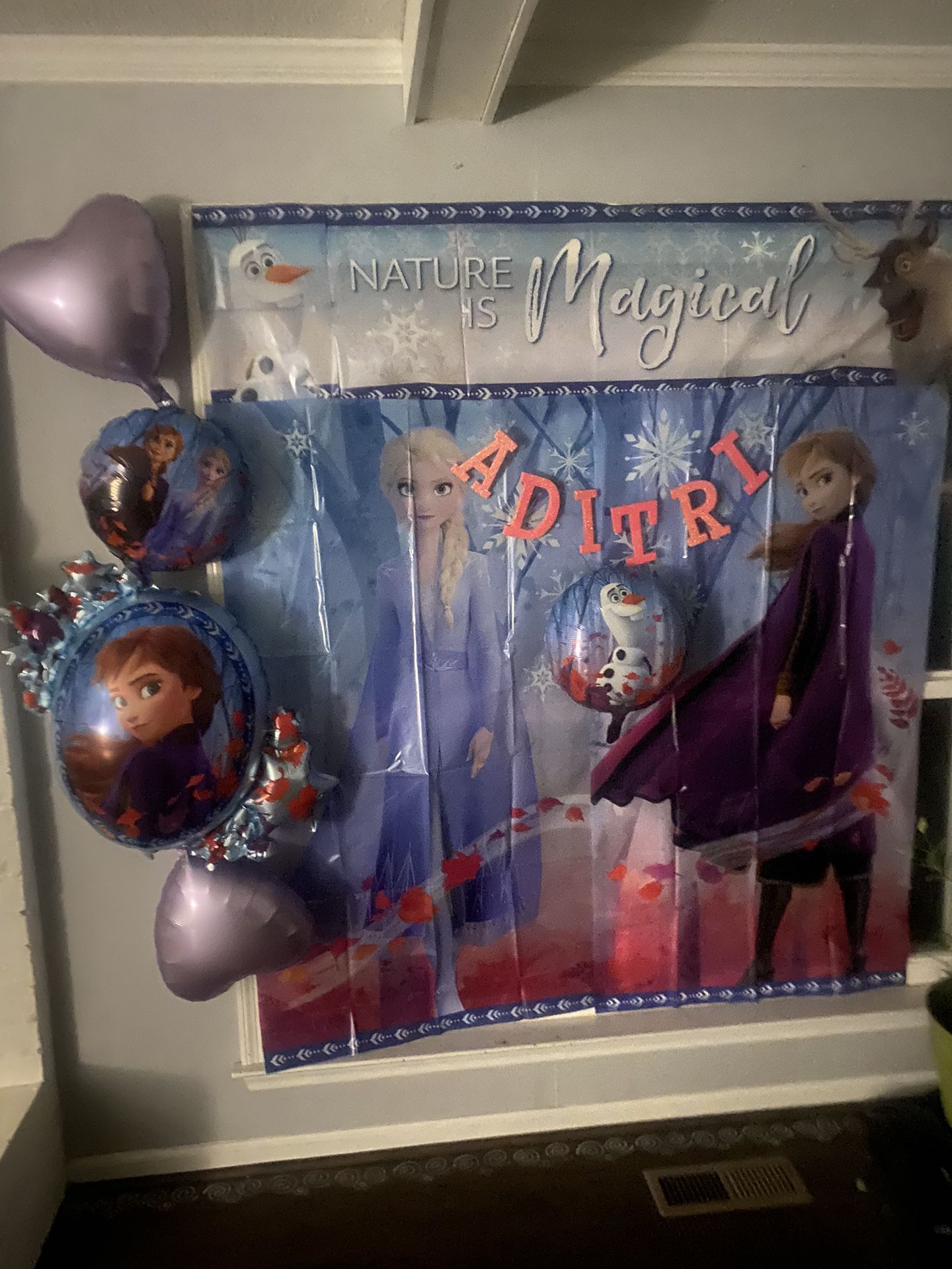 Frozen Elsa Anna Birthday Decor