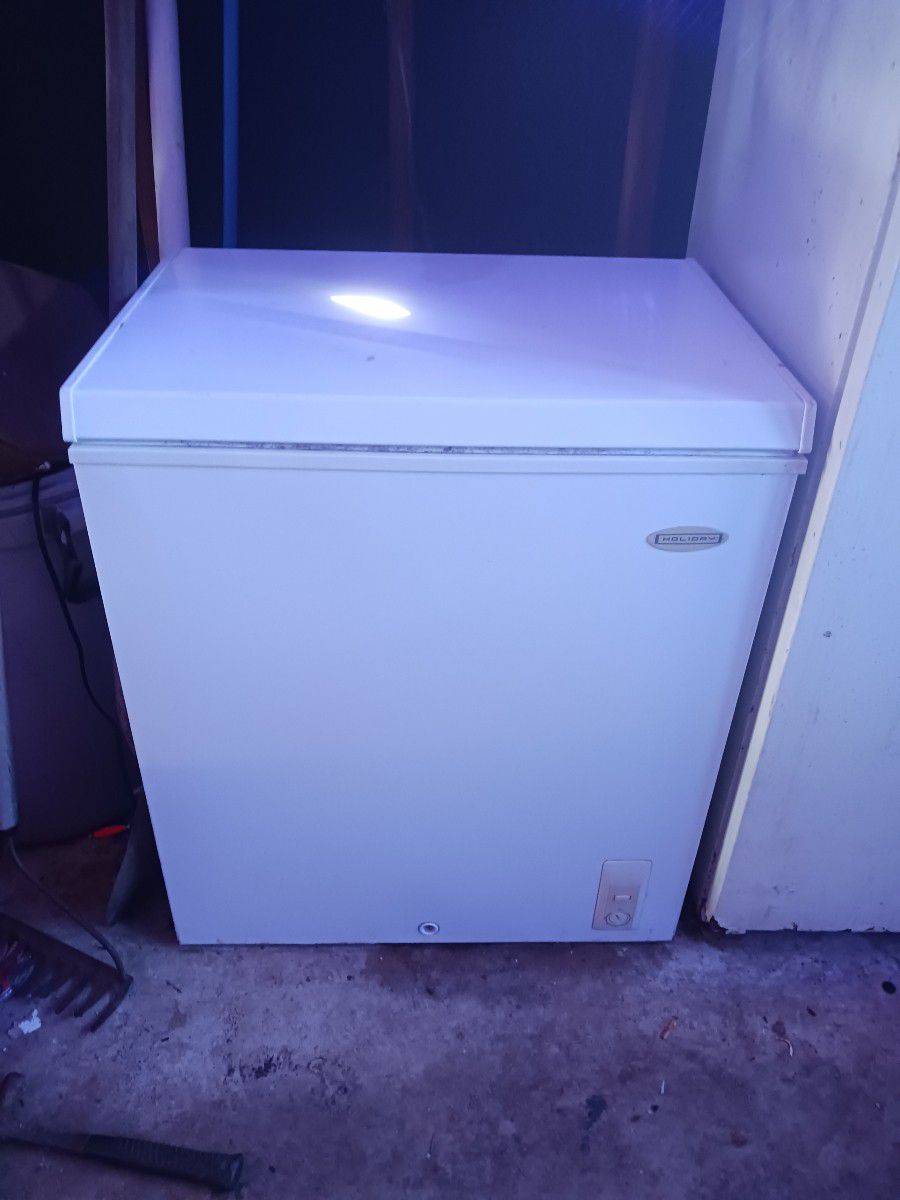 Holiday 5 Cubic Foot Cheat Freezer