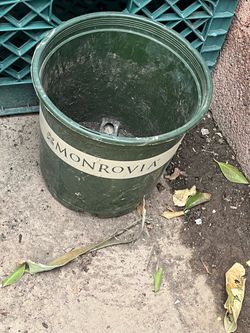 Monrovia Green Plastic Nursery Planters and now in black