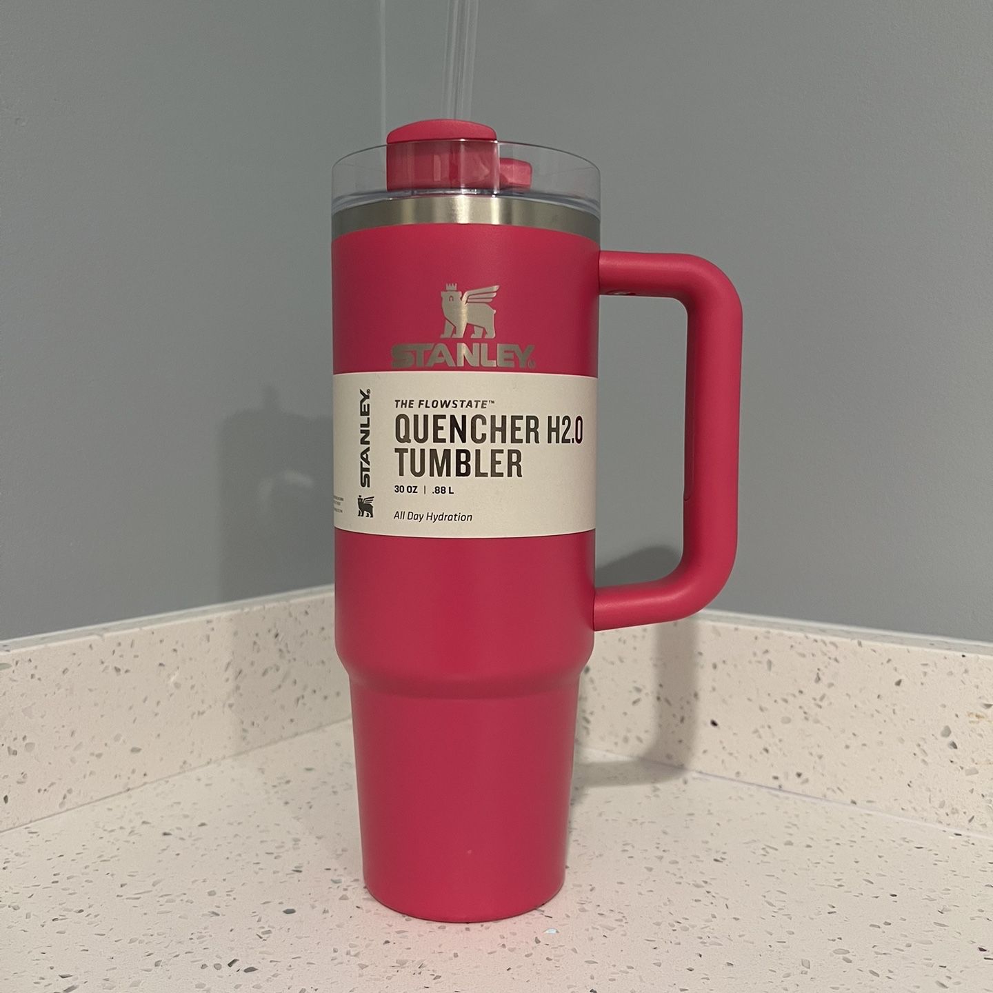 Stanley Quencher H2.0 Tumbler Pool for Sale in Seattle, WA - OfferUp