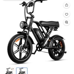 Hell of Bad  e - Bike