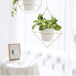 Hanging Gold Planters 