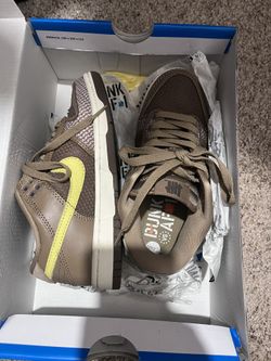 Nike Undfeated dunks 