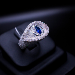 Pharaoh's Gaze | Lifetime Warranty