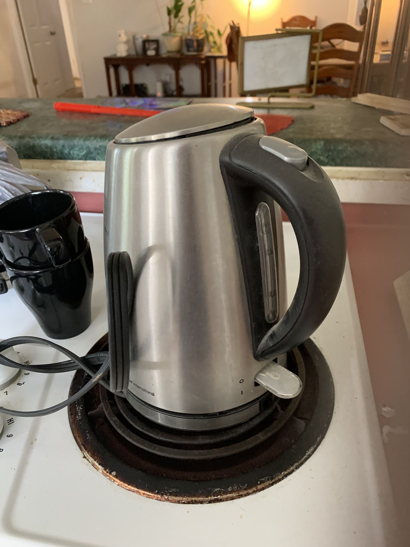 Stainless Electric Kettle Pot