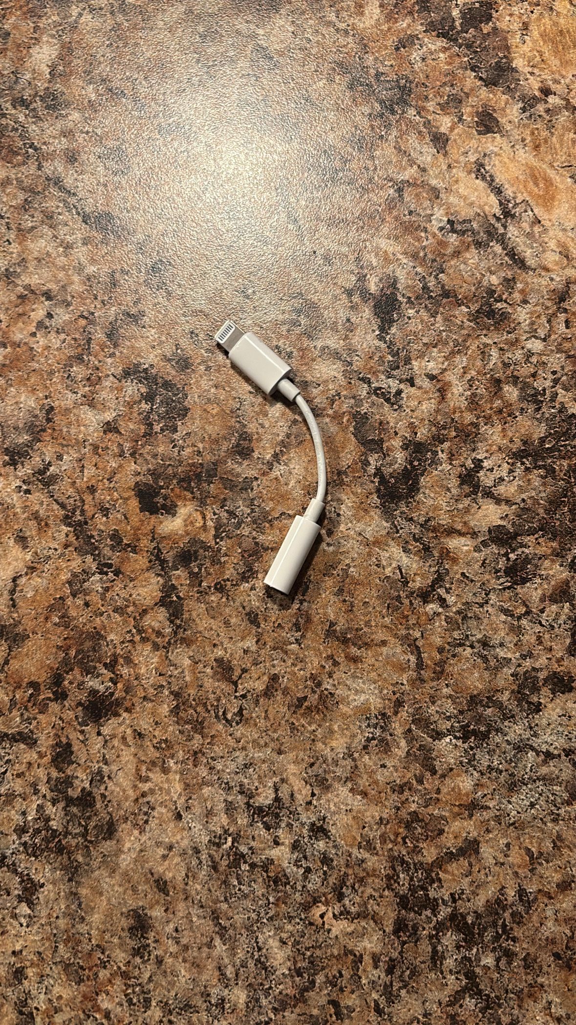 Apple Headphone Dongle
