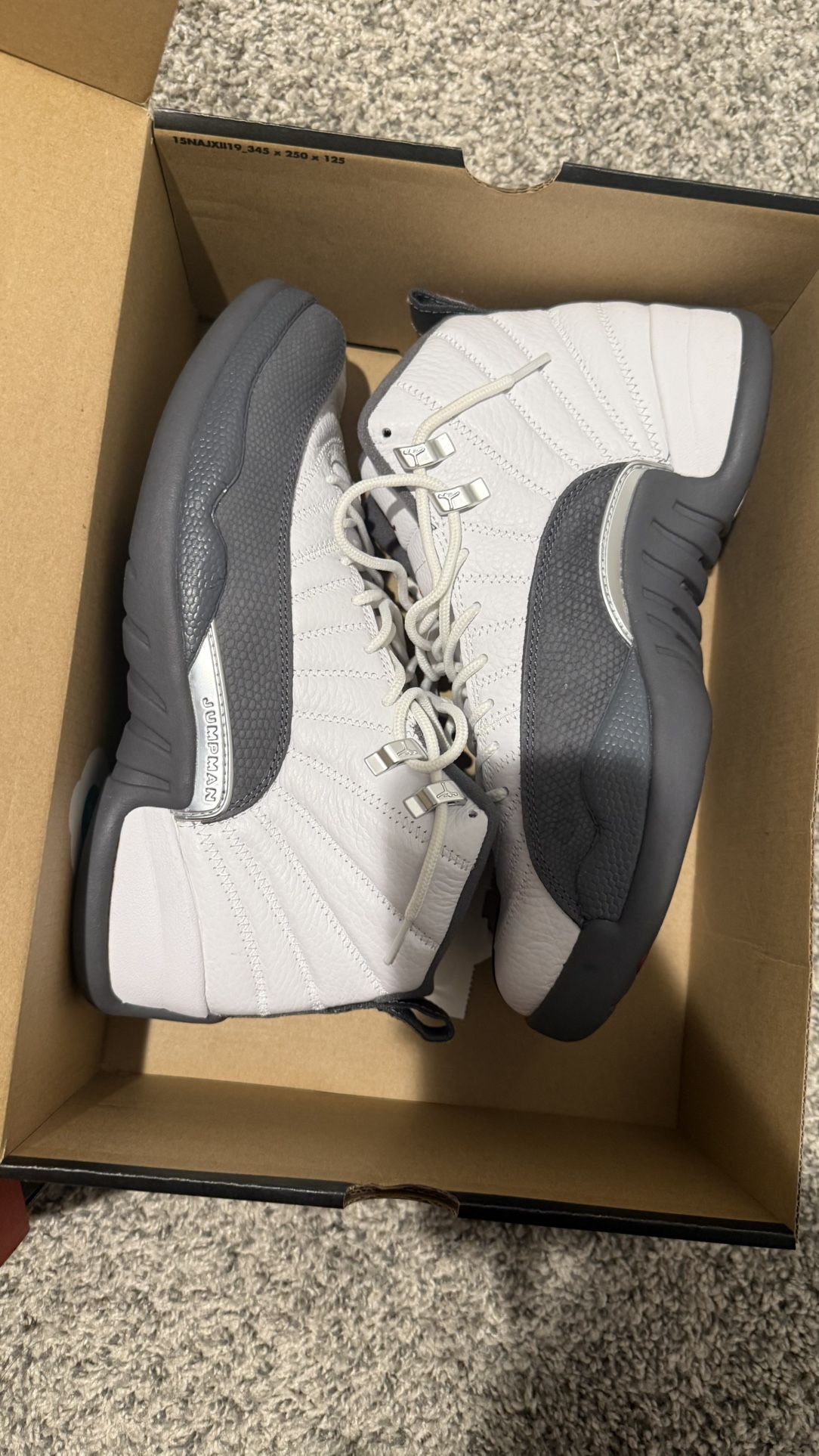 jordan 12