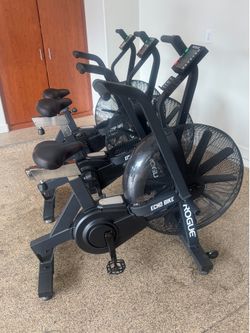 Rogue Echo V2 Assault Bike with Windguard