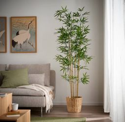 Ikea’s FEJKA artificial bamboo plant ($40 OBO)