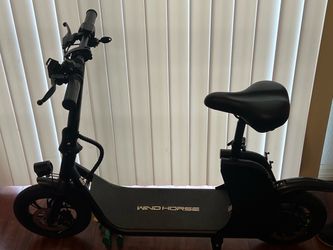 Electric scooter windhorse