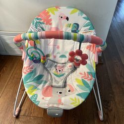 Baby Bouncer