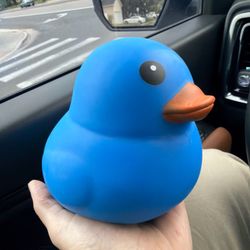 Sunny Days Jumbo Blue Squeezy Duck