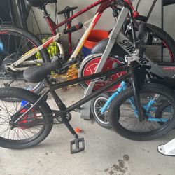 kink whip xl bmx bike