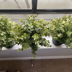 Artificial Ikea Plants 