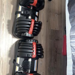 Bowflex Adjustable Dumbbells 