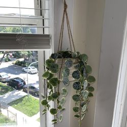 Faux Hanging Ivy Plant