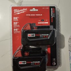 M18 18-Volt Lithium-Ion XC Extended Capacity 5.0 Ah Battery Pack (2-Pack)