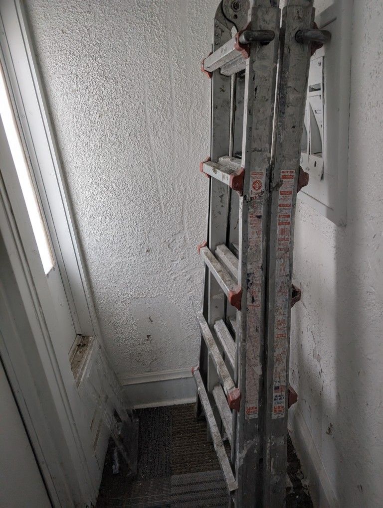 Little Giant Ladder