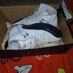 8.5 Jordan 12