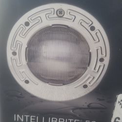 Pentair Intellibrite 5g Spa Size Light 12v 50' Cord