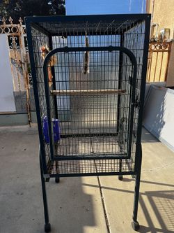 Bird Cage