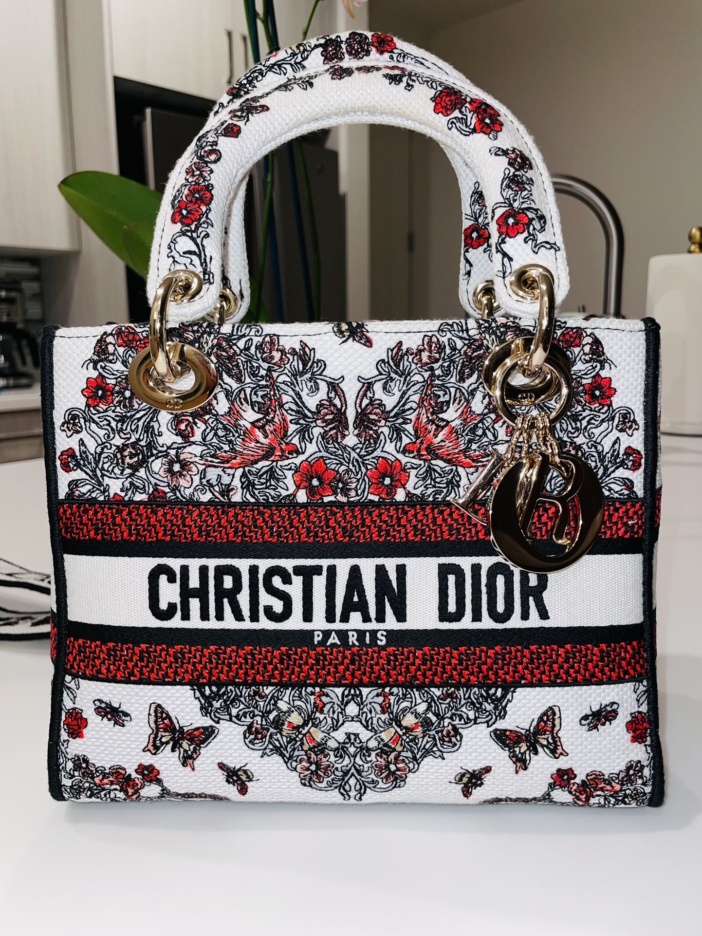Christian Dior Medium Lady D Lite Handbag
