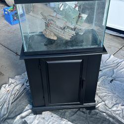 20 Gallon With Stand 