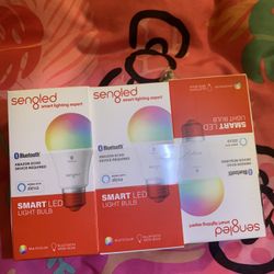 Led Light Bulb 