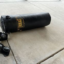 Punching Bag