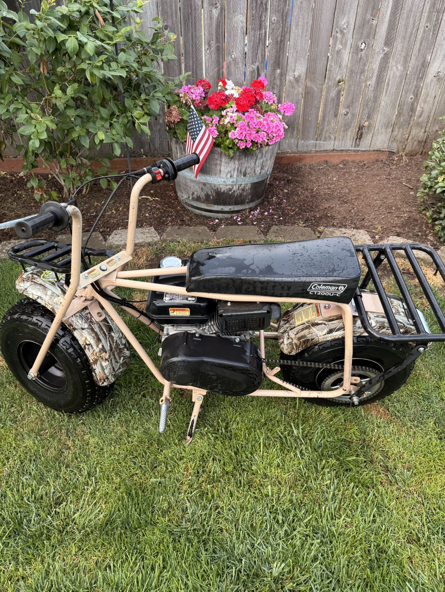 Mini Bike 