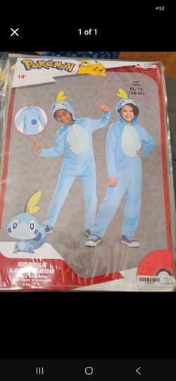 Pokemon cobbler child custome