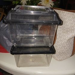 2 Small Fish Insects Etc Containers 5 Both Look My Post Tons Item