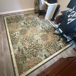 Area Rug 8x10