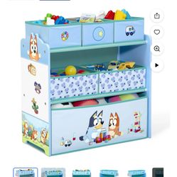 Bluey Toy Organizer