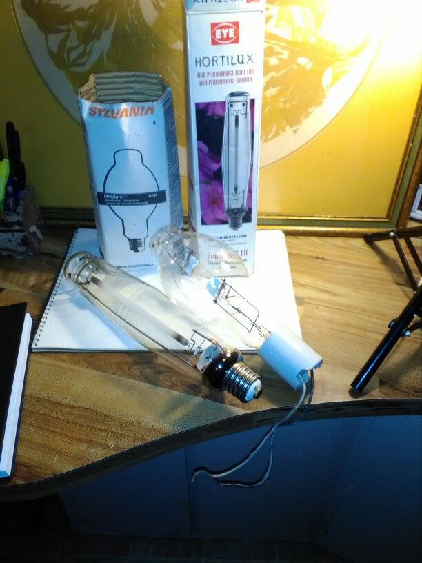 2 - 1000 Watt Bulbs. With Base