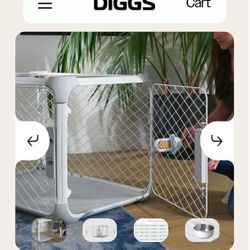 Diggs Dog Create