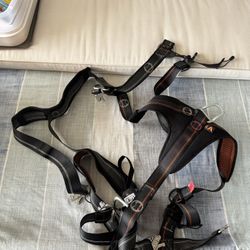 Harness and Lanyards