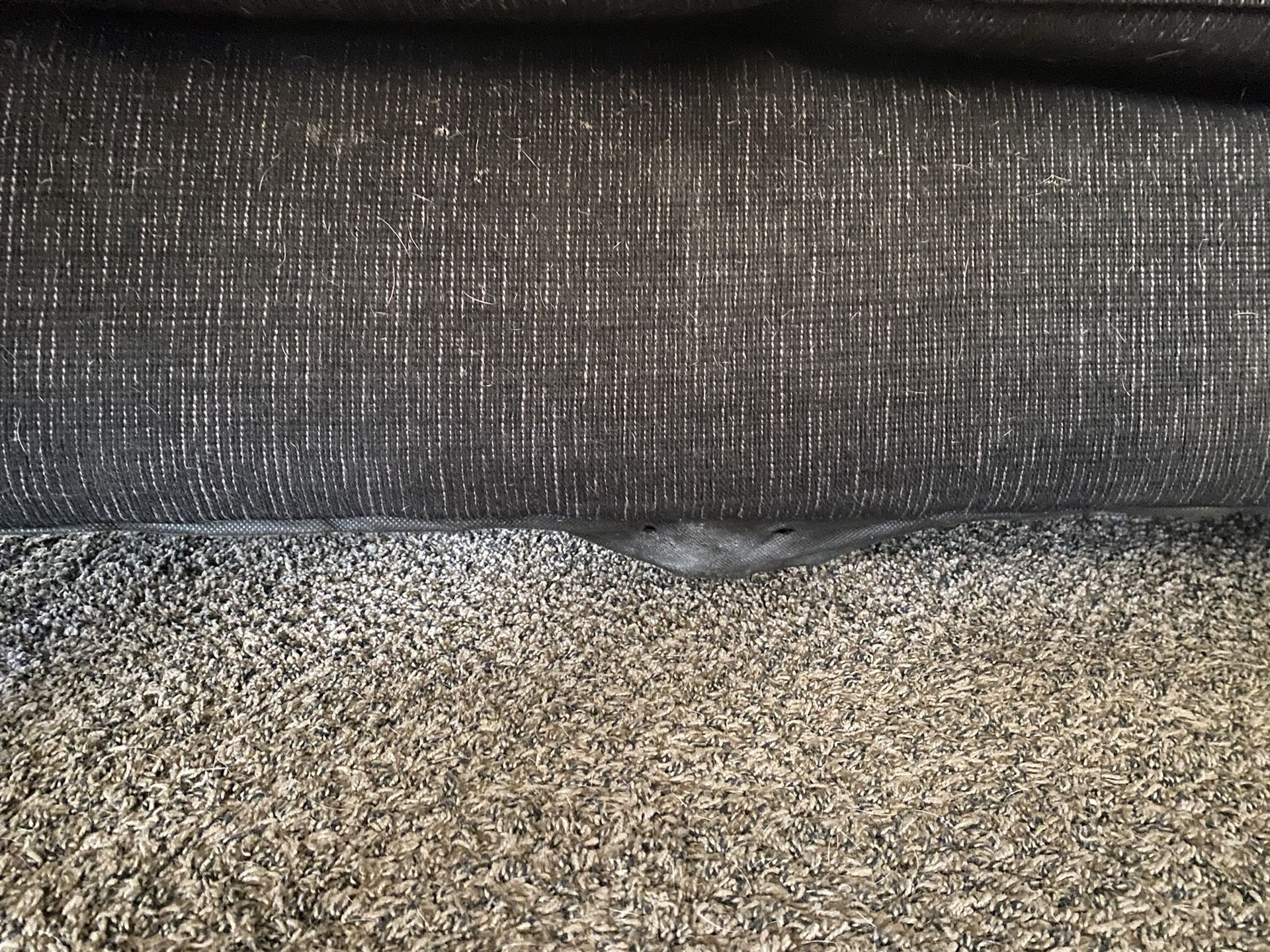 2 Couches Need Gone ASAP 