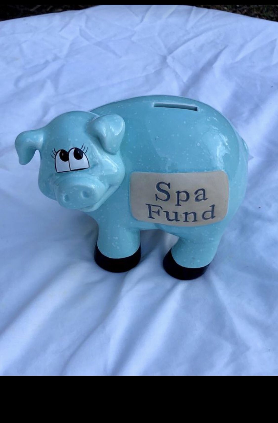 Spa Fund Piggy Bank